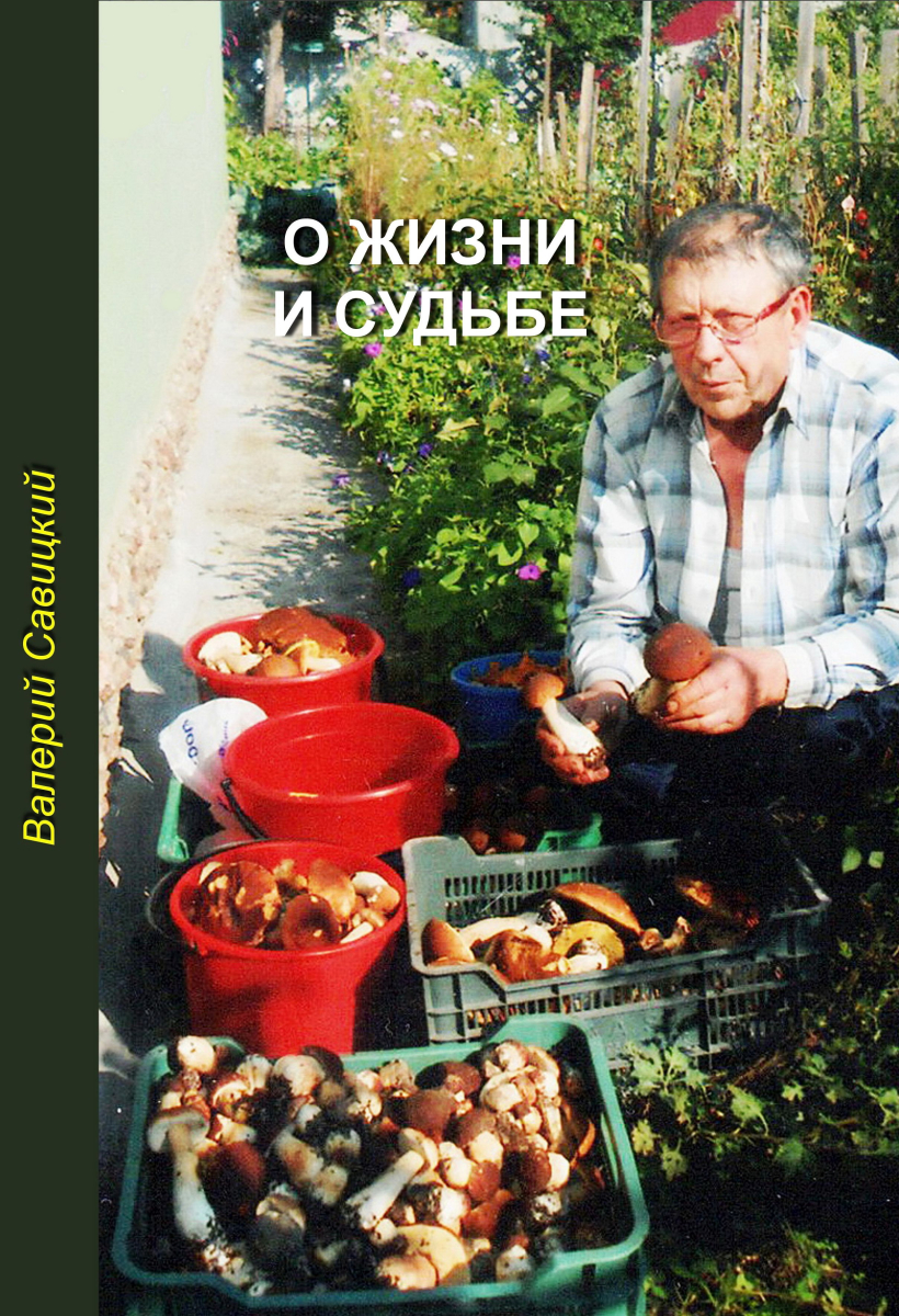 обложка книги В.Савицкого.jpg